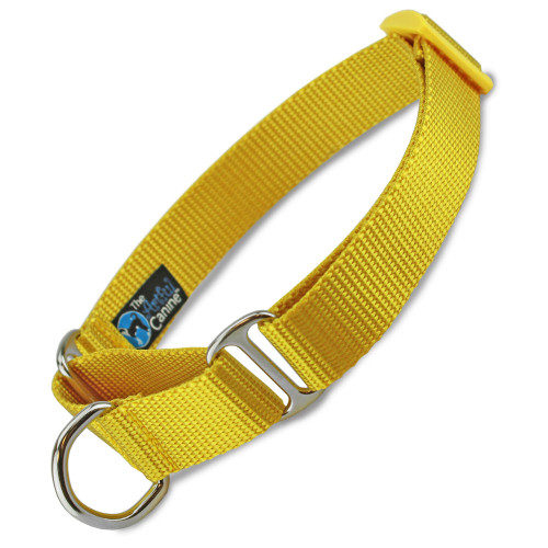 Yellow Martingale Dog Collar, Yellow Nylon, Limited Slip Dog Collar
