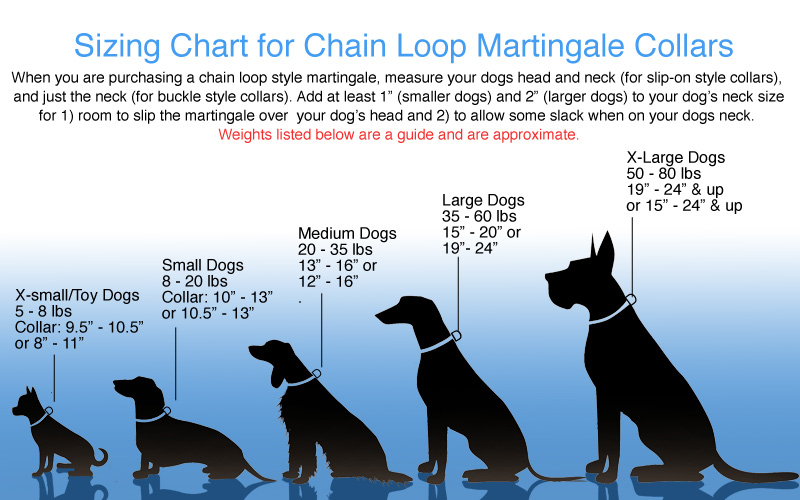 Dog Collar Size Chart By Breed