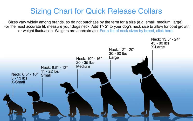 Large Dog Size Chart