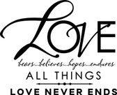 LOVE NEVER ENDS vinyl wall art sticker saying family words decor