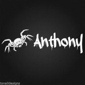 Spider personalised vinyl wall sticker custom name for door vehicle wall deco