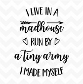 I Live in a Madhouse Run by a Tiny Army I made Myself vinyl wall sticker family fun
