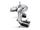 User 2