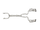 User 2