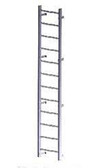 12'0" Aluminum Wall Mounted Ladder