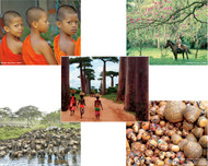 Combo Set C includes 2 each of 5 notecards (2 Thailand Monks Notecards, 2 Honduras Notecards, 2 Madagascar Baobabs Notecards, 2 Tanzania Notecards, and 2 Ecuador Gourds Notecards)—a total of 10 cards (with envelopes) for $8.00.