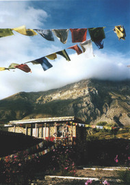 Nepal Peace Card: Prayer flags deliver their blessings to the world.  Photo © 2022 Ann Marie McGillicuddy