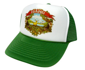 As shown in photo then color of the hat Green/white front