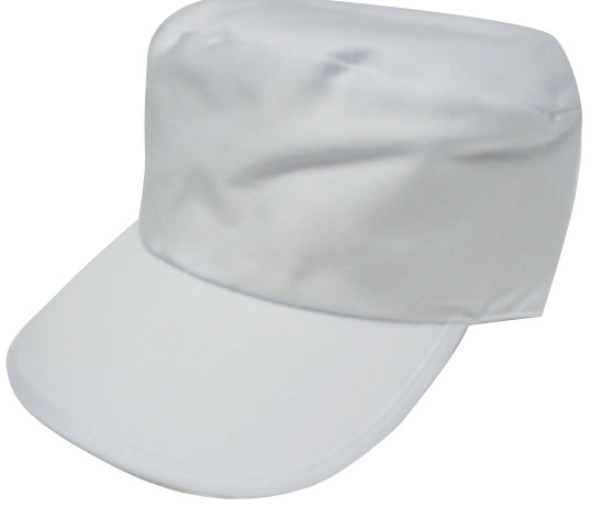 painters hat name
