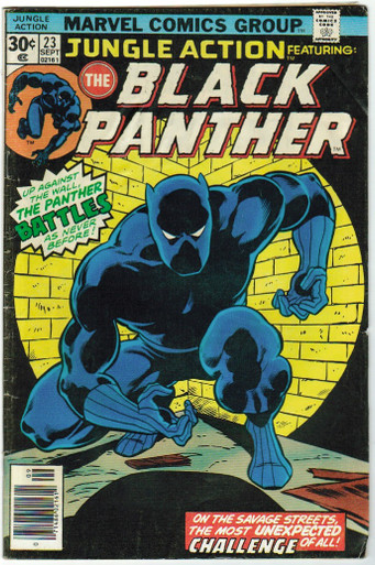 Jungle Action Featuring the Black Panther #23 Front Cover