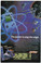 Uncanny X-Men #263 VF Back Cover