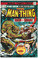 Man Thing #16 VF/NM Front Cover