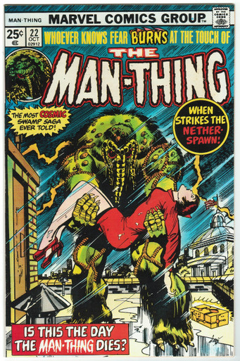 Man Thing #22 VF/NM Front Cover