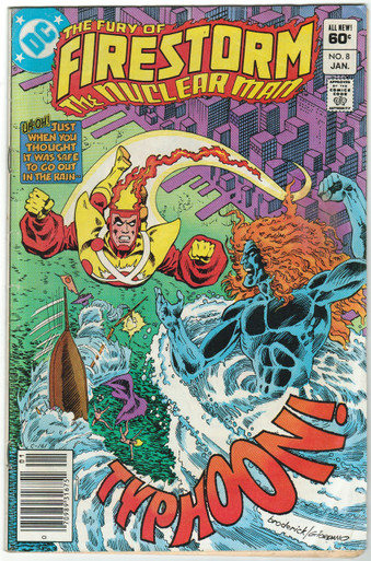 Fury of Firestorm #8 VG Front Cover