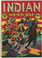 Indian Warriors #8 GD/VG Front Cover