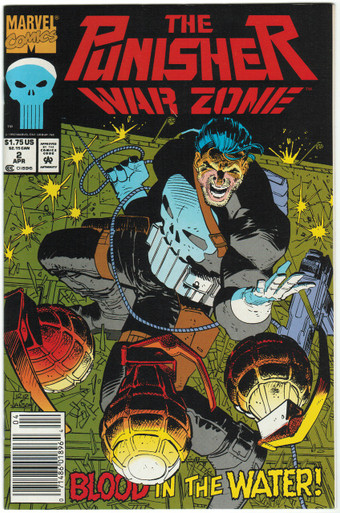 Punisher War Zone #2 VF/NM Front Cover