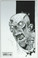 Walking Dead #26 NM Back Cover