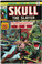 Skull the Slayer #1 FN/VF Front Cover