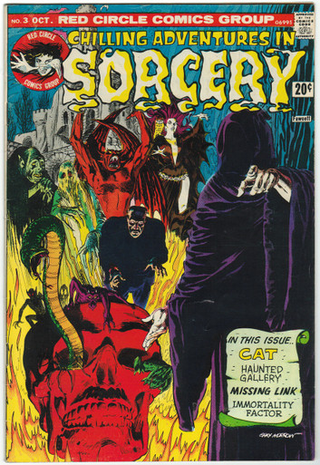 Chilling Adventures in Sorcery #3 FN Front Cover
