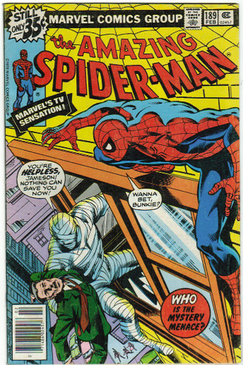 Amazing Spider Man #189 FN Front Cover