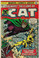 The Cat #2 FN Front Cover