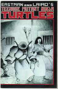 Teenage Mutant Ninja Turtles #17 VF