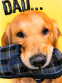 BRG15848 Birthday Card for Father - Dog w Slipper