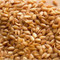 Seeds Golden Flax Seeds (1x25LB )