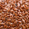 Seeds Flax Seeds (1x25LB )