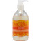 Seventh Generation Hand Wash Natural Orange Grpfr (12 fl Oz) (1 Case)