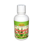 Dynamic Health Liquid Chlorophyll with Aloe Vera Juice Spearmint (16 fl Oz)