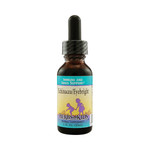 Herbs For Kids Echinacea and Eyebright (1x1 fl Oz)
