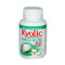 Kyolic Aged Garlic Extract Ginkgo Biloba Plus Memory 200 mg (90 Capsules)