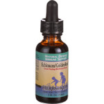 Herbs for Kids Echinacea Golden Root Blackberry Liquid 1 oz