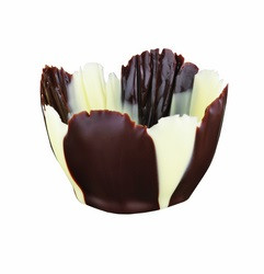 ifiGOURMET Iris Tulip, Dark and White Chocolate Shell (192 EA)