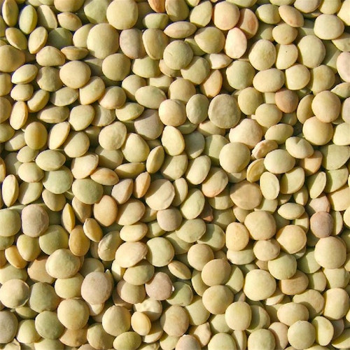 Beans Lentils (1x25LB )