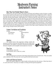 Mealworm Farming PDF