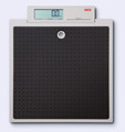 Seca 876 Flat Scales for Mobile Use 250kg