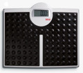 Seca 813 Electronic flat high capacity scales