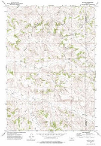 7.5' Topo Map of the Quietus, MT Quadrangle