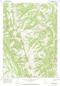 7.5' Topo Map of the Bailey Lake, WY Quadrangle