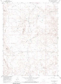 7.5' Topo Map of the Baldy Mountain, WY Quadrangle