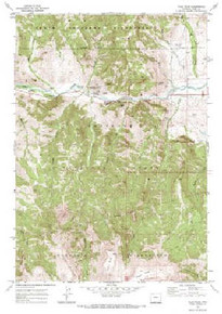 7.5' Topo Map of the Flag Peak, WY Quadrangle