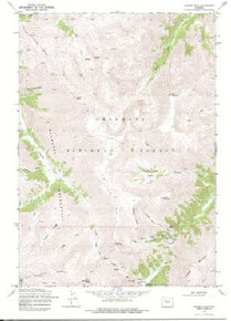 7.5' Topo Map of the Francs Peak, WY Quadrangle