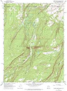 7.5' Topo Map of the Gilbert Peak NE, UT Quadrangle