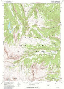 7.5' Topo Map of the Darwin Peak, WY Quadrangle