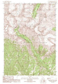 7.5' Topo Map of the Dead Indian Peak, WY Quadrangle