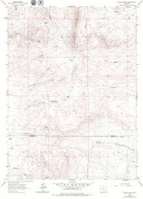 7.5' Topo Map of the Delano Ranch, WY Quadrangle