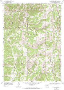 7.5' Topo Map of the Devils Hole Creek, WY Quadrangle