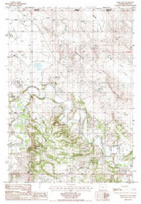 7.5' Topo Map of the Devils Run, WY Quadrangle